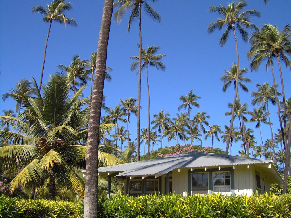 cheap-chic-hawaii-hotels